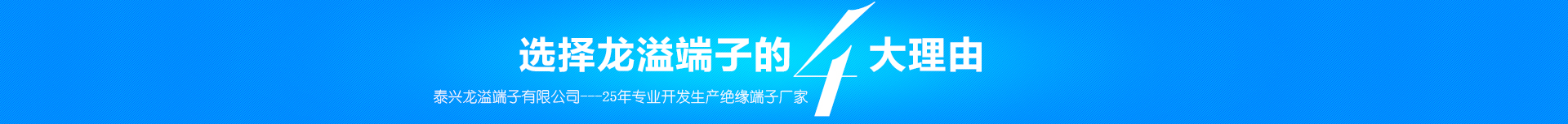 選擇龍溢端子的4大理由，泰興龍溢端子有限公司---25年專業(yè)開發(fā)生產(chǎn)絕緣端子廠家